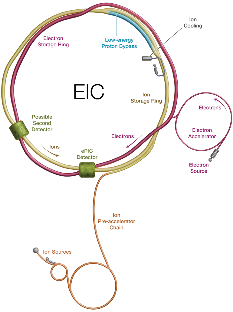 EIC加速器の概要を示します。電子ストレージリングとハドロンストレージリングを持つ構造をしており、RHIC加速器のあったトンネルに作られます。